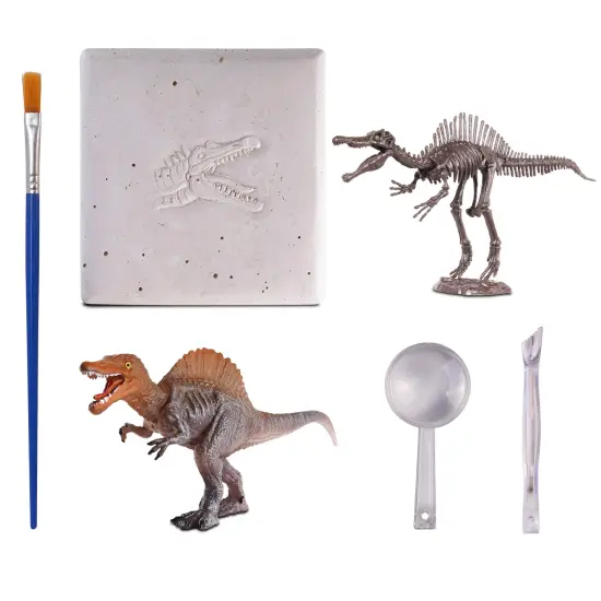 WowWorld: Dino Dig - Spinosaurus - All-In-One Dinosaur Skeleton Excavation Kit, Tools & Construction Figurine, Educational Science Toy, Kids Ages 6+ {3}