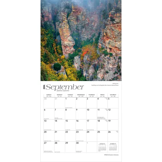 Arizona Wild & Scenic | 2026 12 x 24 Inch (Hanging) Monthly Square Wall Calendar | Plastic-Free {4}