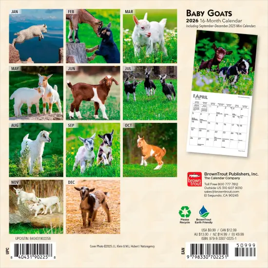 Baby Goats | 2026 7 x 14 Inch (Hanging) Monthly Mini Wall Calendar {2}