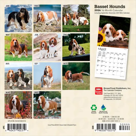 Basset Hounds | 2026 7 x 14 Inch (Hanging) Monthly Mini Wall Calendar {2}