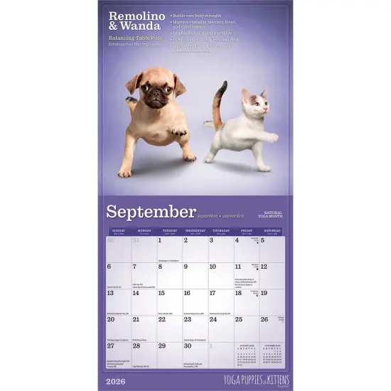 Yoga Puppies & Kittens Together OFFICIAL | 2026 7 x 14 Inch (Hanging) Monthly Mini Wall Calendar {4}