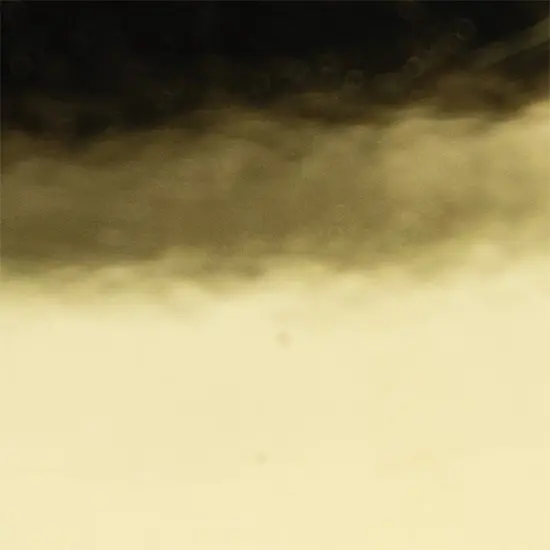 Creative Vinyl - Polychrome Polish Film 40 Ed Green Chrm {2}