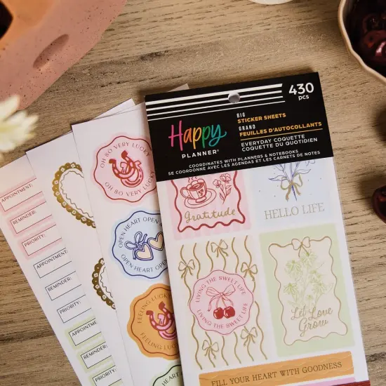 Happy Planner Big Sticker Value Pack 30/Sheets-Everyday Coquette {6}
