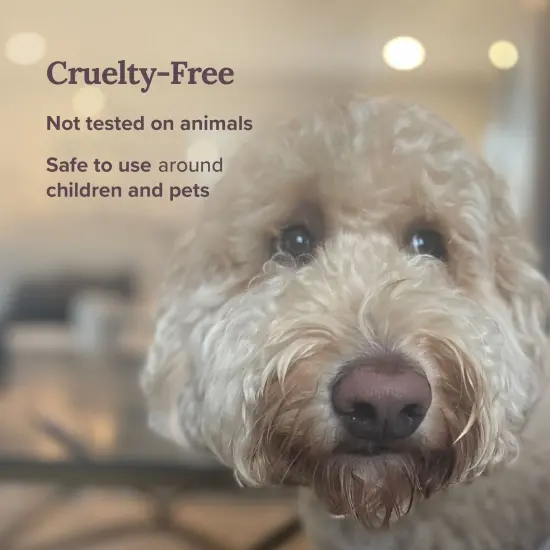 Magnificent 101 Long Lasting Taurus Zodiac Candle | 6 Oz - 35 Hour Burn | Peach Vanilla Scented Soy Wax Candle | Harness the Power of Astrological Signs to Find Your Strength Multicolor {5}