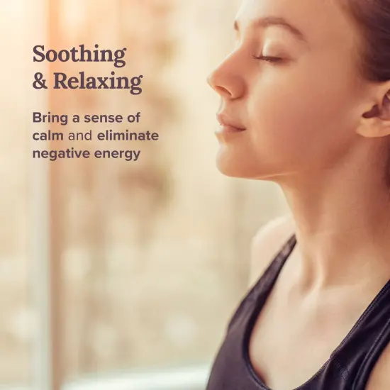 Magnificent 101 Aries Zodiac Sign Candle &ndash; Scented Soy Wax Candle &ndash; Choose Your Birthdate &ndash; Make Great Holiday Gifts for Astrology Fans &ndash; 6oz Tin Holder Ideal for Men&rsquo;s and Women&rsquo;s D&eacute;cor Style Multicolor {4}