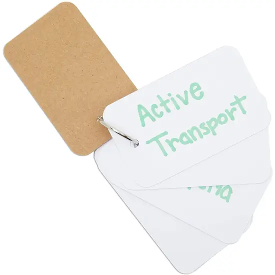 8 Pack Blank Flash Cards with Rings for Studying with 50 Sheets Each, 250gsm Index Notecards (2.2 x 3.5 In) {2}