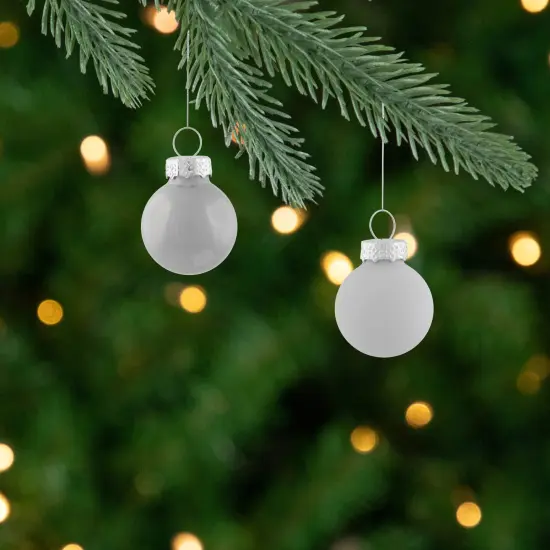 Northlight 2-Finish Mini Christmas Glass Ball Ornaments - 1" (25mm) - White - 24pc {4}