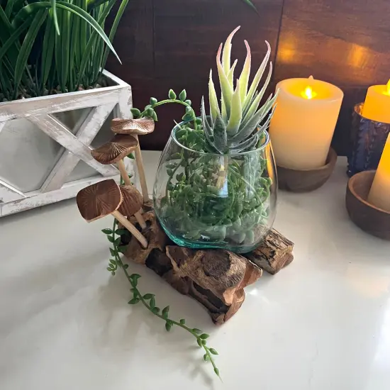 Handcrafted Glass Vase with Teak Driftwood and Wood Mushroom Embellishments Brown {5}