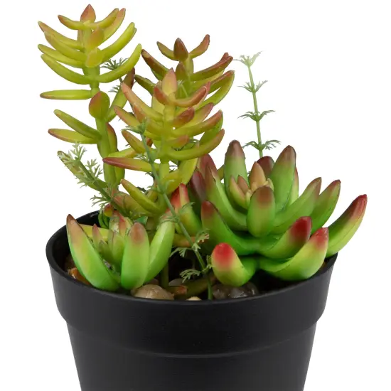Northlight Artificial Mixed Succulent Plant Arrangement - 8" Green {7}