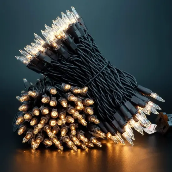 Clear Christmas Lights with Black Wire {4}