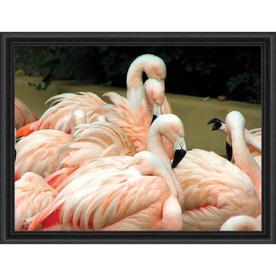 Sunrays Creations Needlearts Flamingos Counted Cross-Stitch Chart Multi {1}