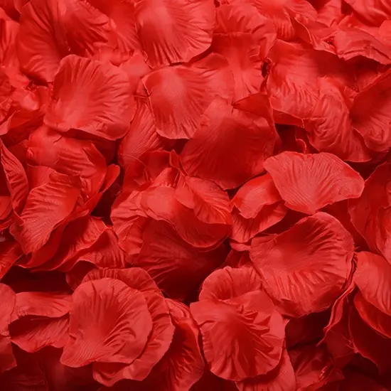 1000 PCS Red Rose Petals Valentines Decorations Fake Flower Rose Petals Artificial Rose Petals for Wedding Proposal Anniversary Love Romantic Night Decorations Decorations Supplies {2}