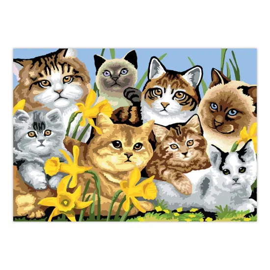 PJL6 | Painting by numbers™ 13pc 11.25" x 15.375" Cats Montage Painting Project {2}