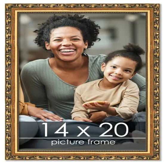 14x20 Museum-Quality Picture Frame with UV-Resistant Acrylic & Acid-Free Backing, Available in 4 Finishes - Gold, Silver, Bronze, and Black {1}