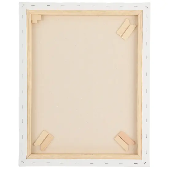 Paramount Canvas for Painting - Pack of 6,White Canvases- 11/16" 100% Cotton Stretched Canvas, Triple-Primed for All Media, Medium Tooth, Back-Stapled, 12oz Primed Weight, Wood Stretcher Bars {3}