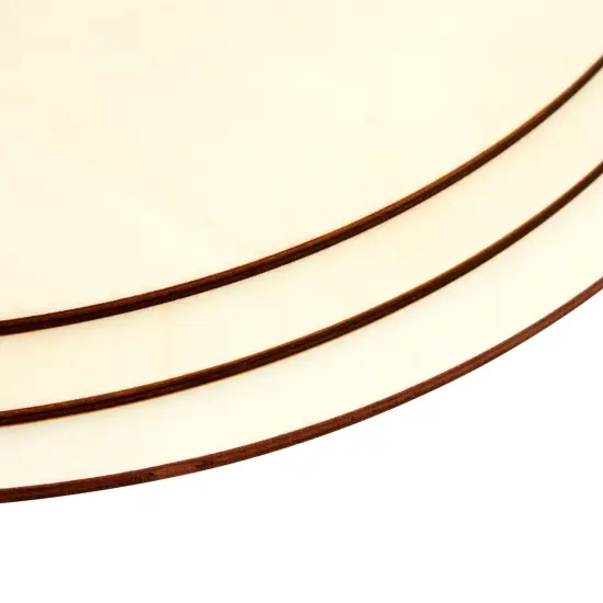 6 Pack Unfinished Wooden Disks with Ribbon and Twine for Crafts, Wood Burning, Engraving (14 Inches) Brown {7}