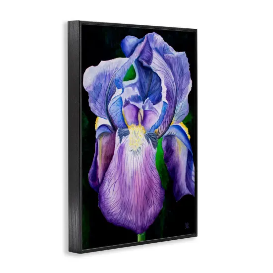 Stupell Industries Purple Iris Petals Framed Giclee Design By Sarah Waldron Kimball {3}