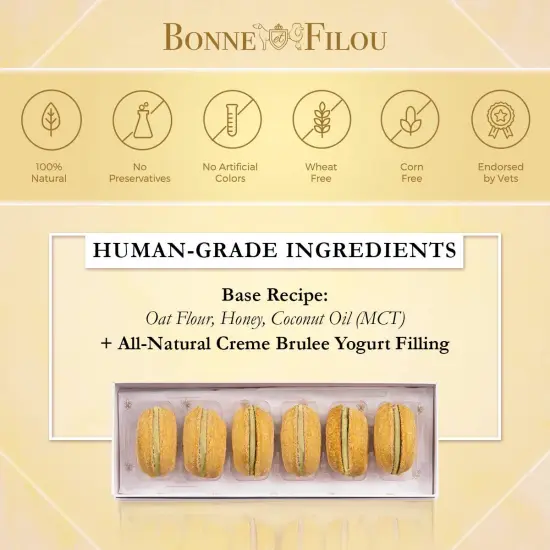 CR&Egrave;ME BR&Ucirc;L&Eacute;E MACARON DOG TREATS {4}