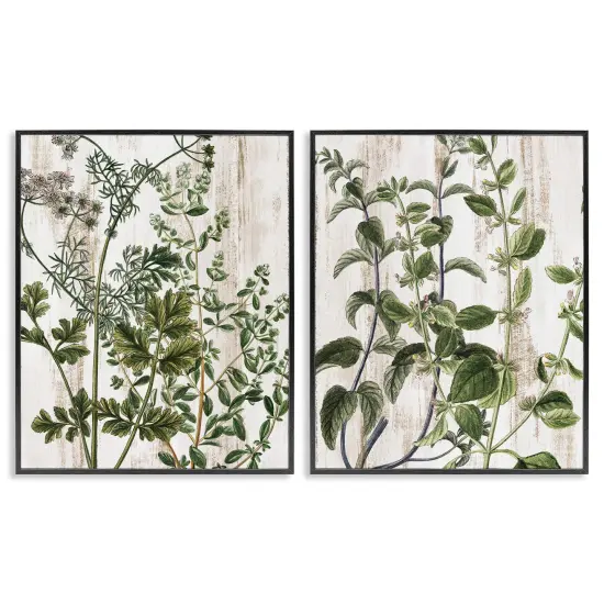 Stupell Industries Aged Botanical Leaves 2 pc Framed Giclee Wall Art Set Design by Kim Allen {1}