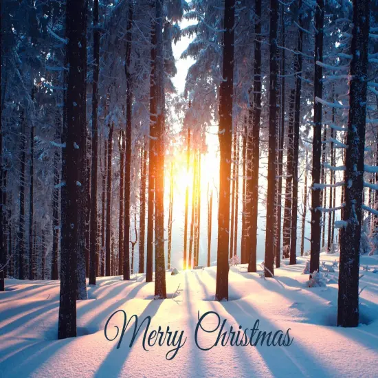 Boxed Christmas Cards-Beauty of the Season {3}