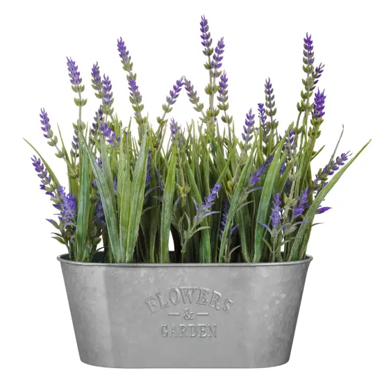 Haute Decor 10 Inch Lavender in Galvanized Metal Pot {2}