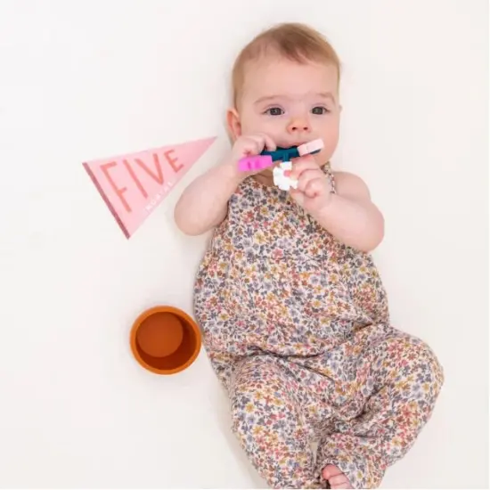 BLUSHING MEADOW PETIT MILESTONE PENNANT {5}