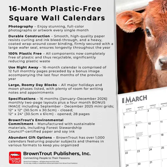 Baby Moo Moos | 2026 12 x 24 Inch (Hanging) Monthly Square Wall Calendar | Plastic-Free {6}