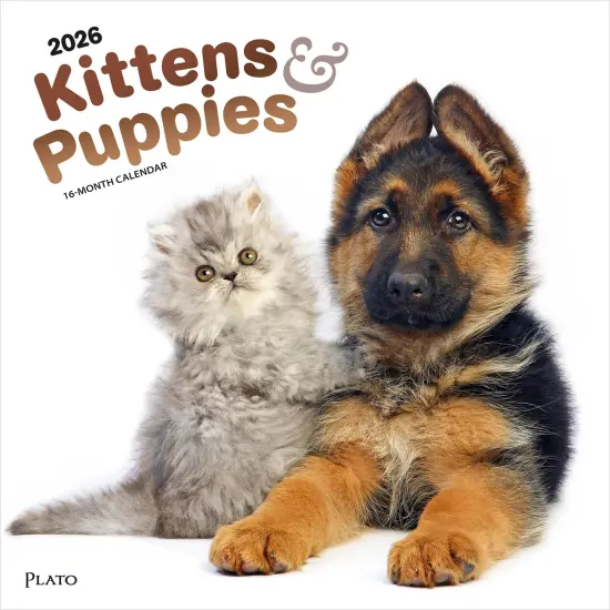 Kittens & Puppies | 2026 12 x 24 Inch (Hanging) Monthly Square Wall Calendar | Foil Stamped Cover {1}