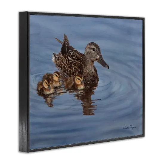 Stupell Industries Duck Family Ripples Framed Giclee Wall Art Design by Valerie Rogers {3}