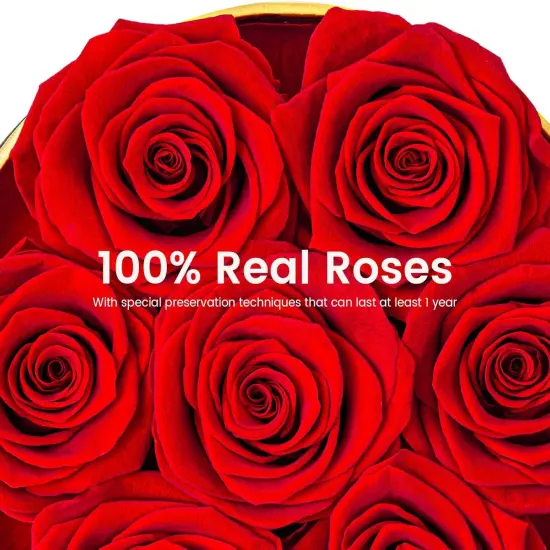 Long Lasting Preserved Roses in a Box {2}