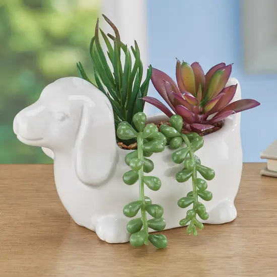 Collections Etc Faux Succulent Arrangement in White Ceramic Dachshund Pot {3}