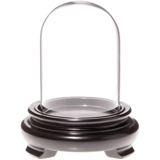 Plymor 2" x 3" Mini Glass Display Dome Cloche Walnut Wood Veneer {2}