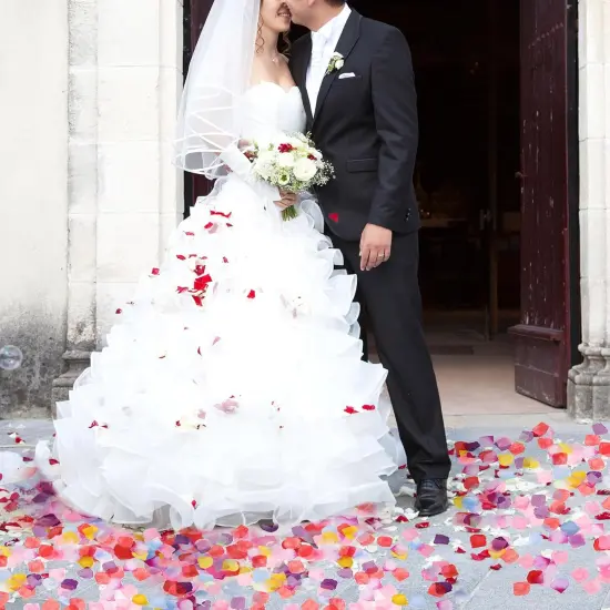 1000 pcs Artificial Rose Petals Fake Petal Flower Decoration for Wedding Party Silk Flower Rose Petals Multicolor Flower Petals {2}