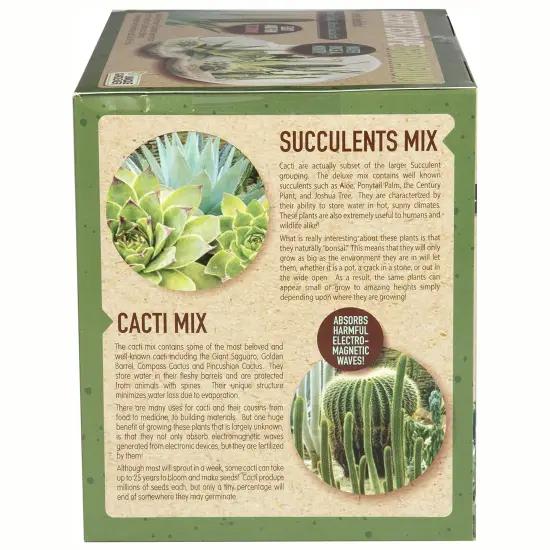 Unique Gardener: Desert Escape Growarium - DIY Double-Sphere Glass Terrarium Starter Kit, Grow Cacti & Succulents, Mini Nature Plants, Adults & Kids {7}