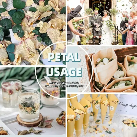 Mix Dried Bio Flower Rose Petals Confetti, 20+ Cups of Ivory White Roses & Eucalyptus Leaves, Real Petals for Wedding Parties {5}