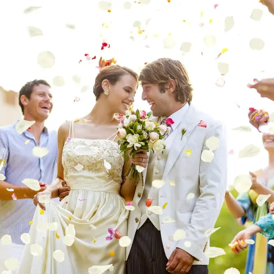 3200 Pcs Artificial Rose Petals Valentines Day Decorations for The Home, Fake Rose Flower Petals for Wedding {3}