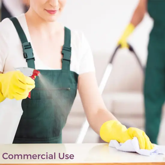 2 Pack Plastic Spray Bottle - 16oz {4}