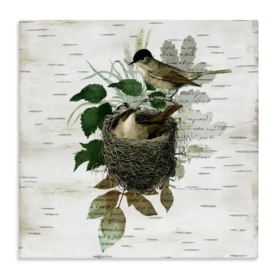 Stupell Industries Birds in Vintage Nest Canvas Design by Susan Arnot {1}