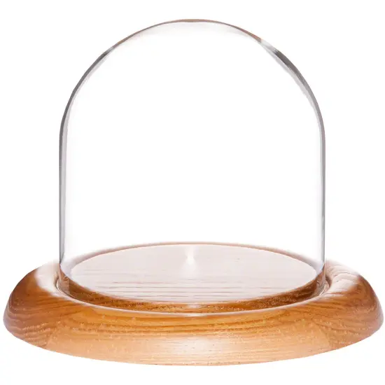 Plymor 4" x 4" Glass Display Dome Cloche Oak {1}