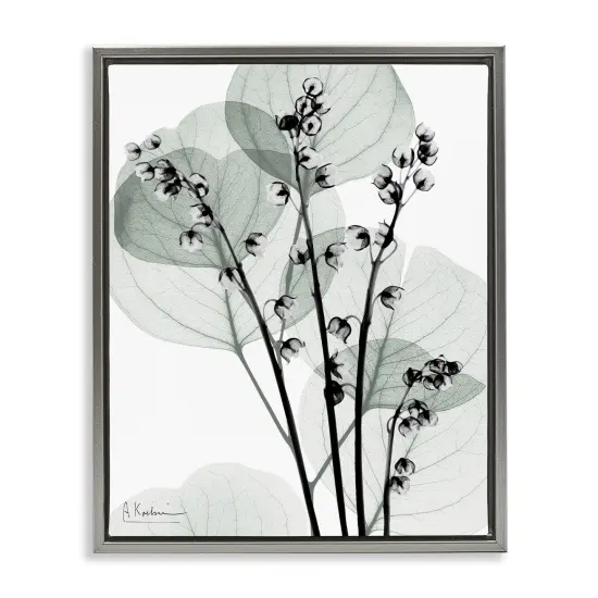 Stupell Industries Fresh Minimalist Herbs Floating Frame Design by Albert Koetsier {1}