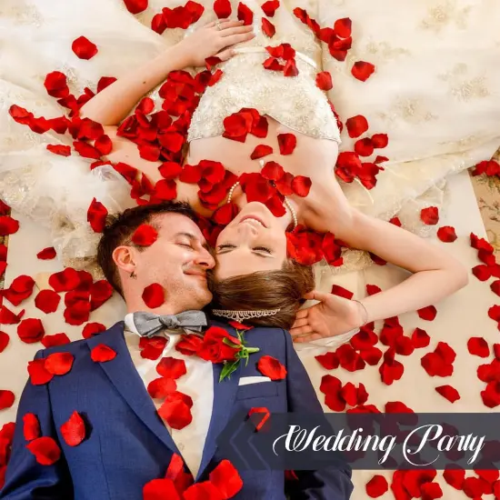 Dried Rose Petals Wedding Biodegradable Petals, Natural Preservation Real Flower Petals {4}