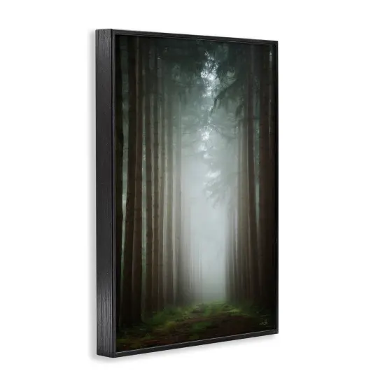 Stupell Industries Moonlight Through Dark Forest Framed Giclee Design by Martin Podt {3}