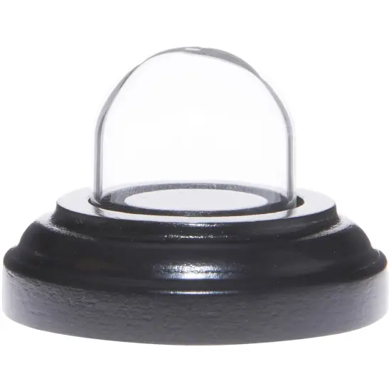 Plymor Miniature 1" x 1" Mini Glass Display Dome TINY Cloche Black Wood Veneer {1}