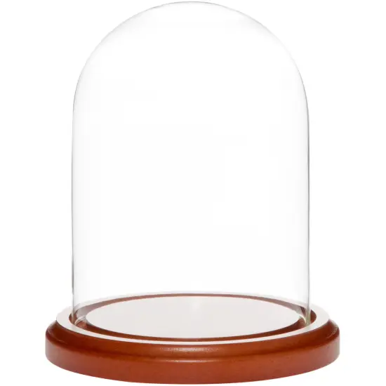 Plymor 4" x 5.25" Glass Display Dome Cloche Walnut MDF {1}