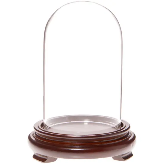 Plymor 3" x 5" Glass Display Dome Cloche Walnut Wood Veneer {1}