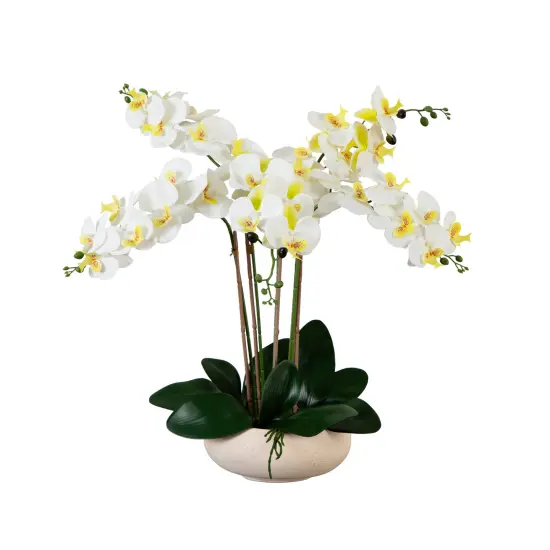 Nearly Natural Phalaenopsis Orchid Artificial Floral Arrangement with Ceramic Planter - 23" - White {3}