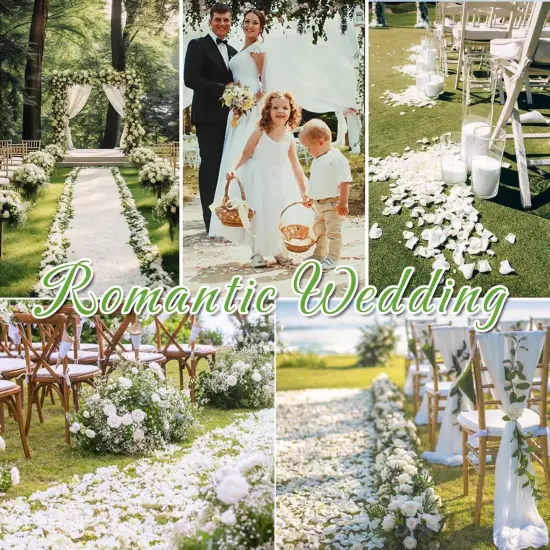 Dried Real White Rose Petals, Freeze Preserved Flower Petals for Wedding Party Decor, Rose Petals for Romantic Night Wedding {4}