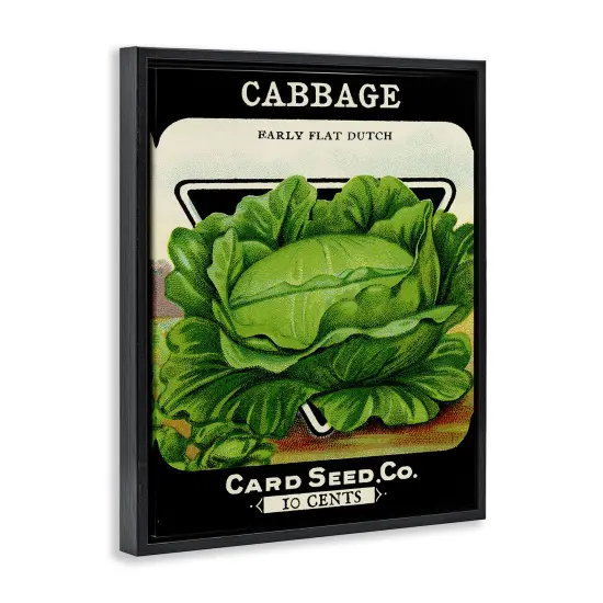 Stupell Industries Vintage Garden Cabbage Floating Frame Design by Lil' Rue {3}