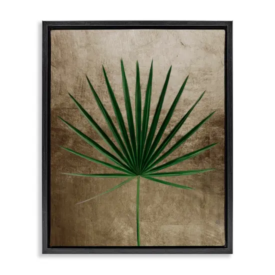 Stupell Industries Earthy Fan Palm Floating Frame, design by Anna Lischenko {1}