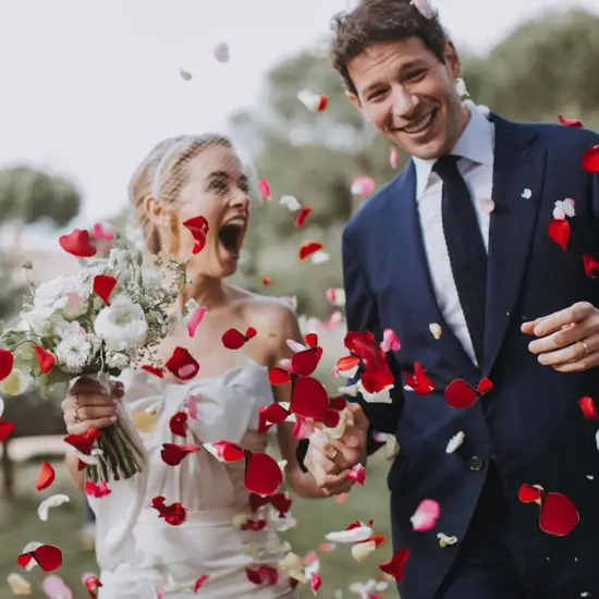 Rose Petals for Bedroom - Fake Roses Petal Faux Flowers, Artificial Roses Petals for Marry me, Valentines, Proposal, Anniversary, Wedding {3}